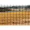 Trident Fence Welded Wire Fence, Black PVC Coated, 14ga, 4x100ft, 2x2in Mesh W14410022B - alternate 3